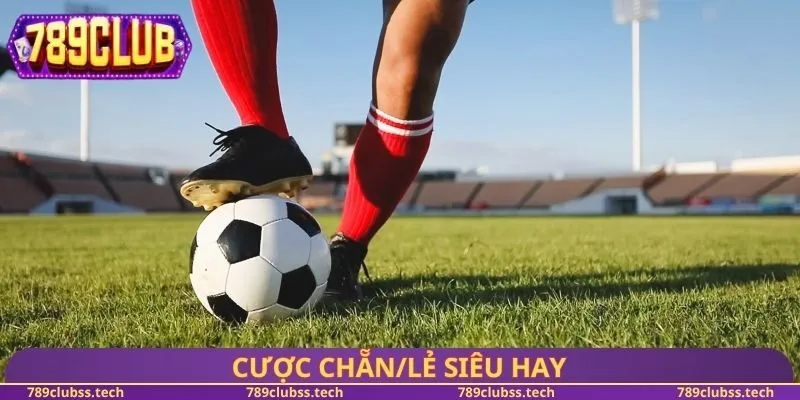 Cược chẵn/lẻ siêu hay
