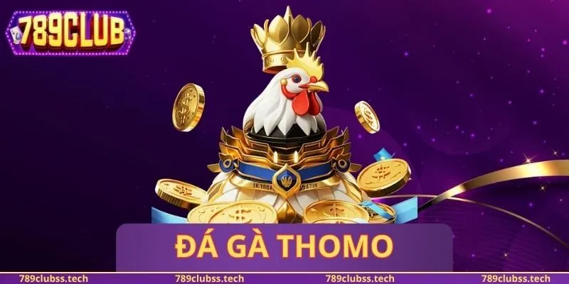 Đá Gà Thomo