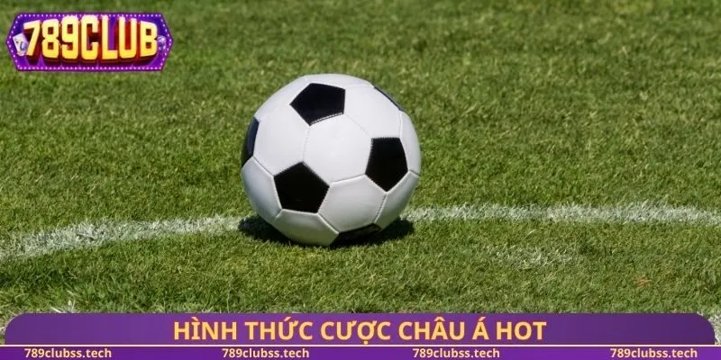 Hình thức cược châu Á hot