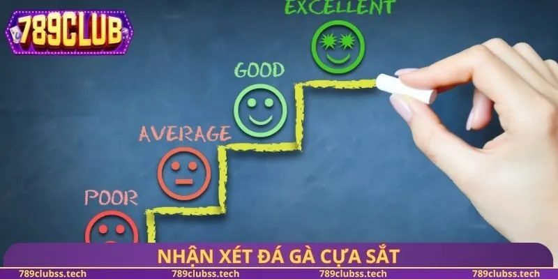 Nhận xét đá gà cựa sắt