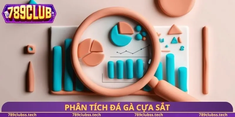 Phân tích đá gà cựa sắt