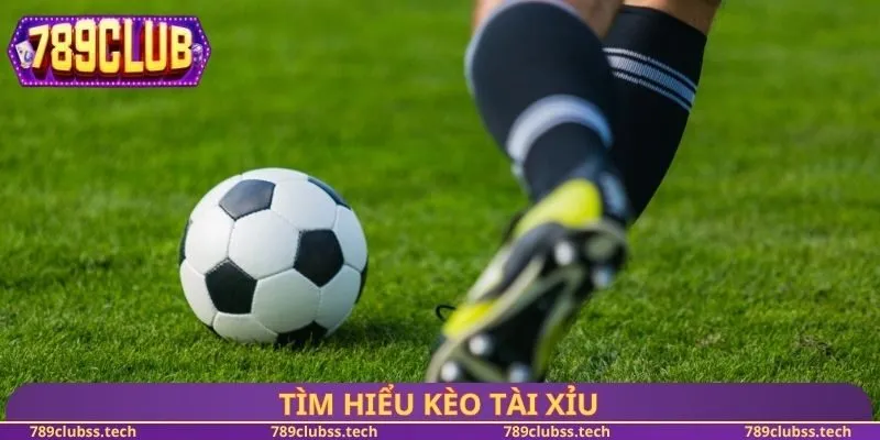Tìm hiểu kèo tài xỉu